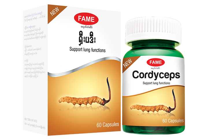 Cordyceps(ရှီးပဒီး)