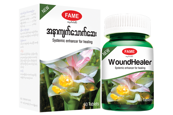 WoundHealer®(အနာကျက်သောက်ဆေး)