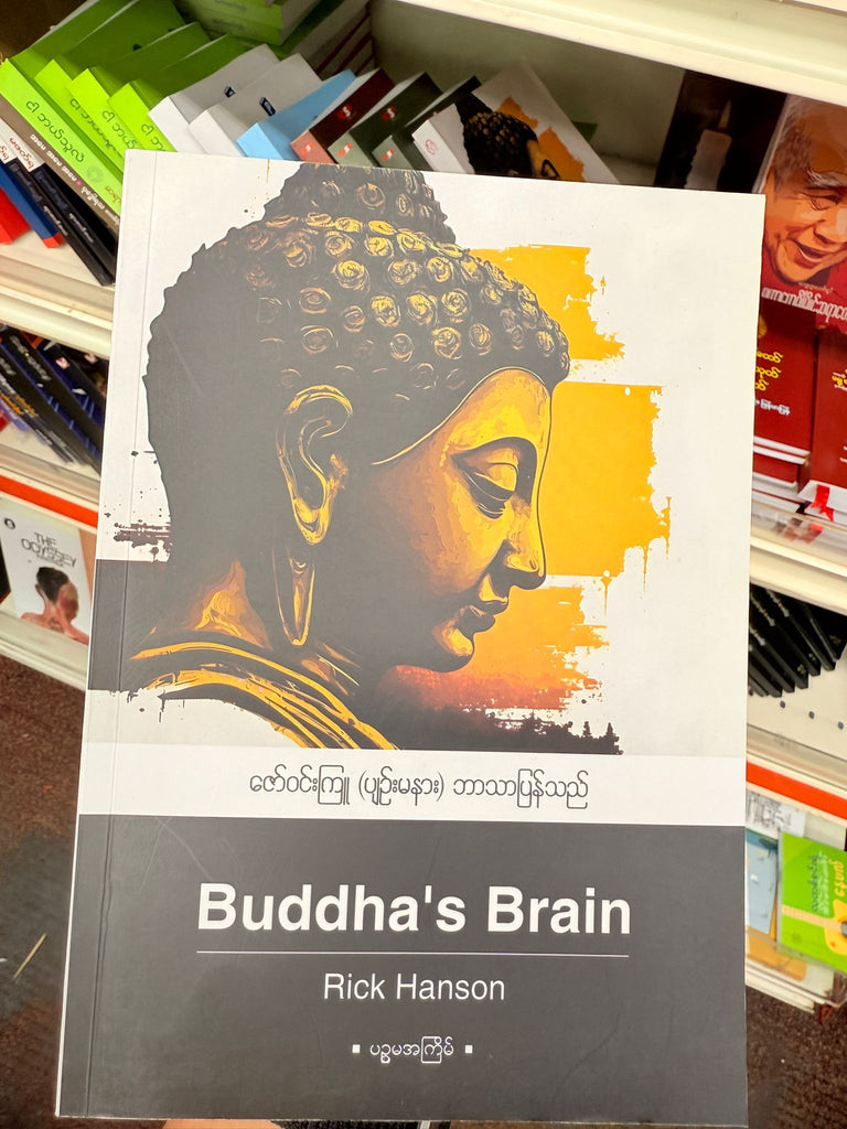 Buddha's Brain Rick Hanson ဘာသာပြန်